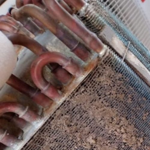 129095254_779193459301200_6919376980778981795_n